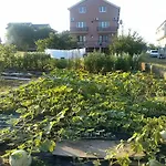 Πανσιόν Pansion Ivanka Barac Međugorje