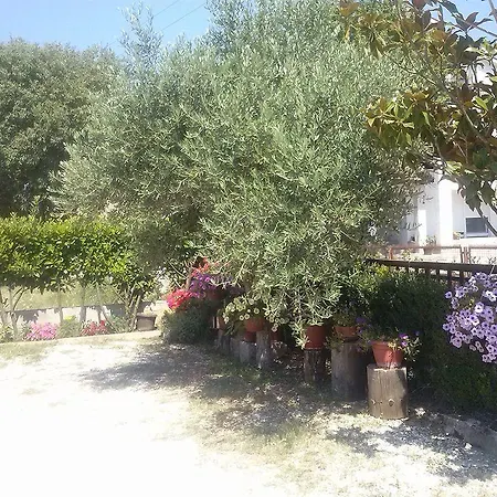 伊万卡巴拉克膳食公寓 招待所 Međugorje