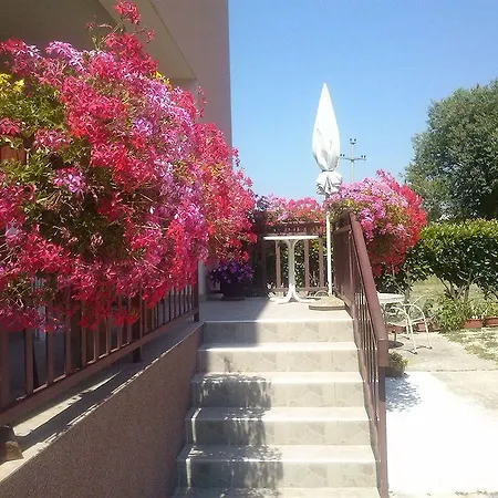 Pansion Ivanka Barac Πανσιόν 2*