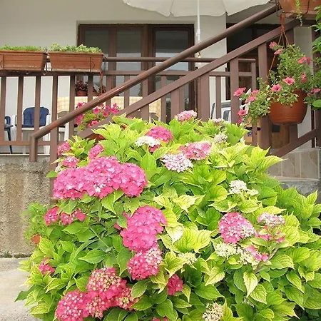 招待所 伊万卡巴拉克膳食公寓 Međugorje