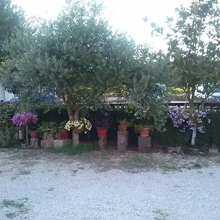 伊万卡巴拉克膳食公寓 招待所