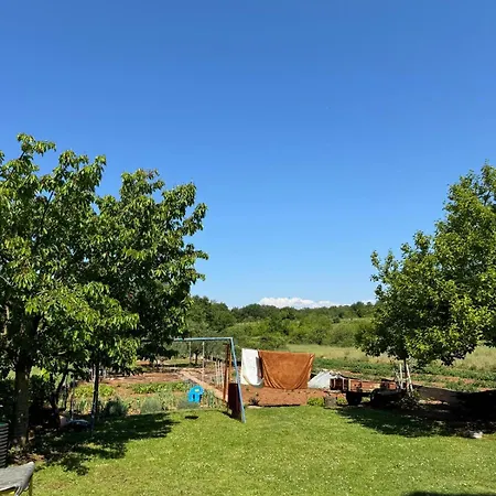 招待所 伊万卡巴拉克膳食公寓 Međugorje