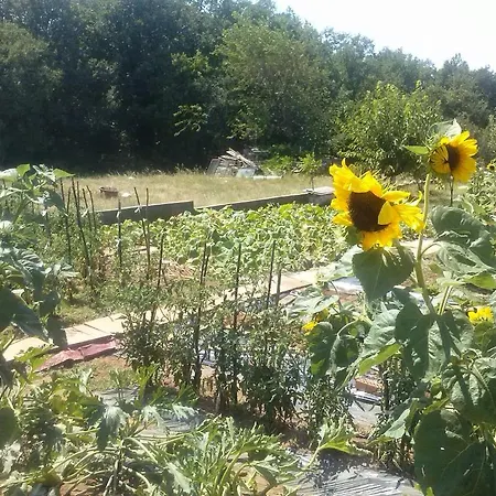 伊万卡巴拉克膳食公寓 2*
