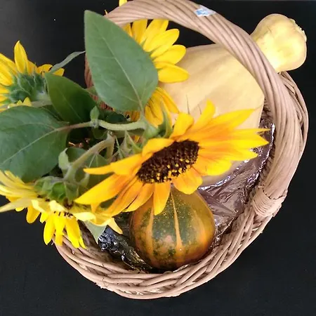 招待所 伊万卡巴拉克膳食公寓 2*