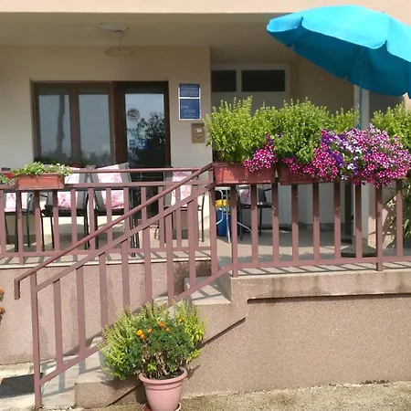 Guest house Pansion Ivanka Barac 2*