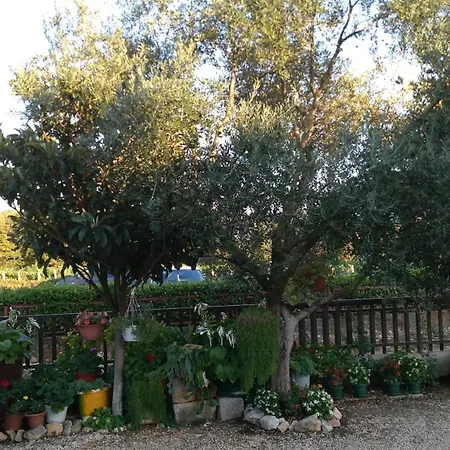 伊万卡巴拉克膳食公寓 2*