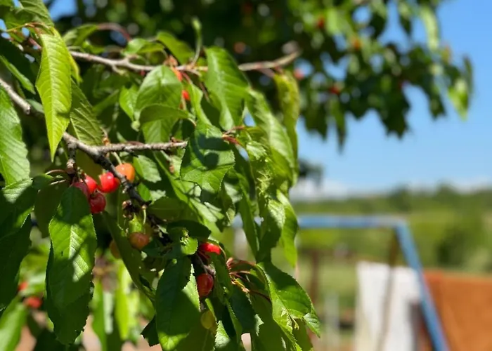 Pansion Ivanka Barac Pensión